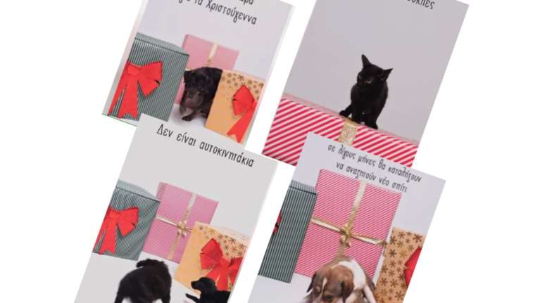 Συγκλονιστικό βίντεο του &quot;A little Shelter - Athens&quot;: Τα ζώα δεν είναι δώρα για τις γιορτές