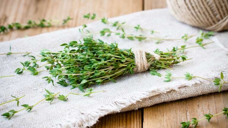 Πότε να μην τρώμε θυμάρι: Οι παρενέργειες που πρέπει να γνωρίζουμε