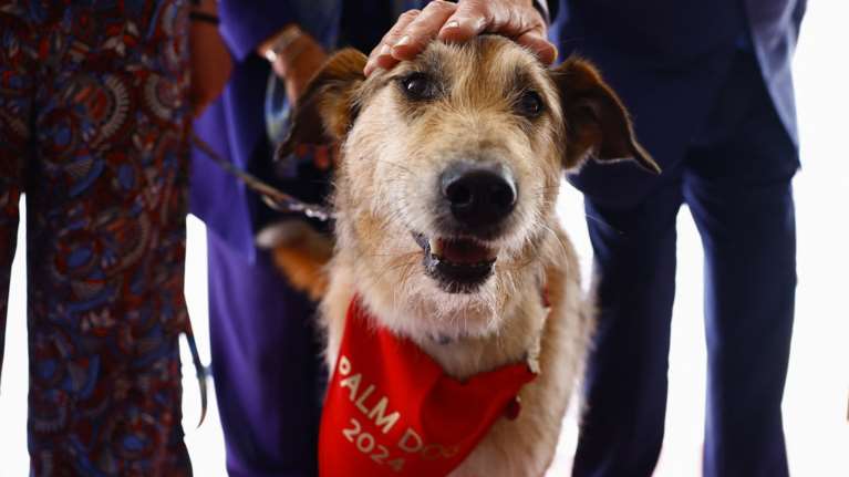 Στον πρώην αδέσποτο σκυλάκο Κοντί,  τον πρωταγωνιστή του &quot;Le procès du chien&quot;, το Palm Dog του Φεστιβάλ των Καννών