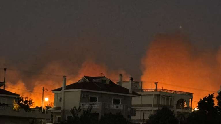 Λέκκας: Γιατί η Αττική δοκιμάζεται κάθε καλοκαίρι από πυρκαγιές – &quot;Από εδώ και πέρα δεν πρέπει να χάσουμε ούτε ένα δέντρο&quot;