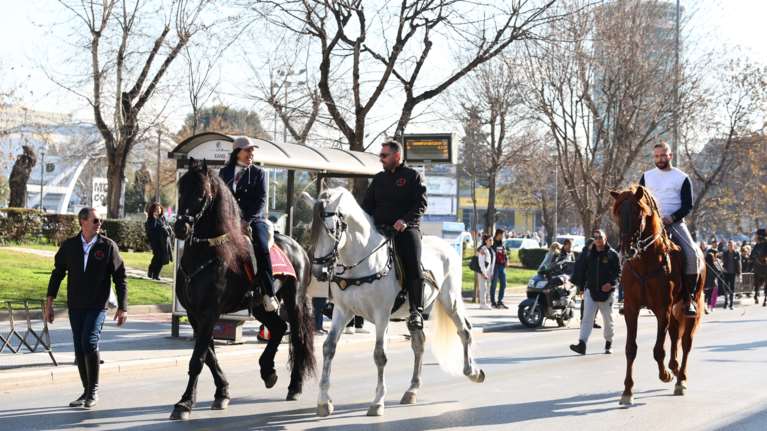 Θεσσαλονίκη: Βόλτα στην Τσιμισκή έκαναν εντυπωσιακά πανύψηλα άλογα - Μοναδικό θέαμα
