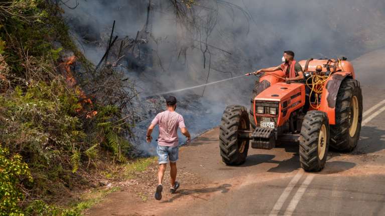 Πύρινος όλεθρος στην Πελοπόννησο: Μάχη με τη φωτιά σε Γορτυνία και Μεγαλόπολη
