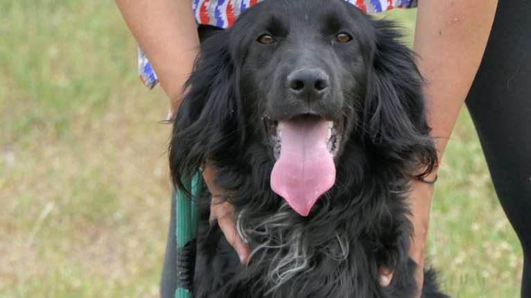 Ο Ερμής είναι ένα καλόψυχο και καλόβολο τρελοκομείο, που ενθουσιάζεται με τα πάντα και προσπαθεί να κάνει τα πάντα ταυτόχρονα.