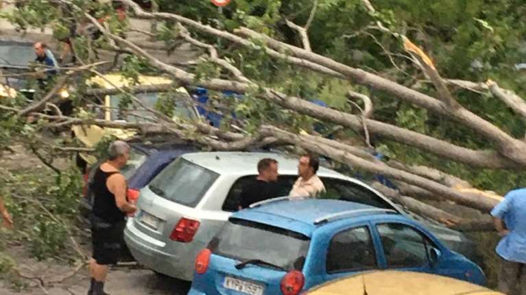 Νεροποντή στην Κέρκυρα: Ποτάμια έγιναν οι δρόμοι - Έπεσαν δέντρα και καταπλάκωσαν αυτοκίνητα