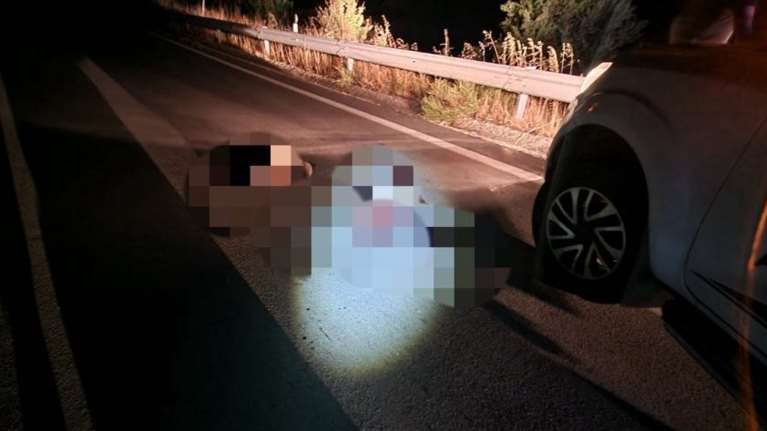 Θλίψη και οργή - Νεκρά δύο αρκουδάκια μετά από τροχαίο στη Φλώρινα - Δεύτερο θανατηφόρο μέσα σε 10 ημέρες στην περιοχή