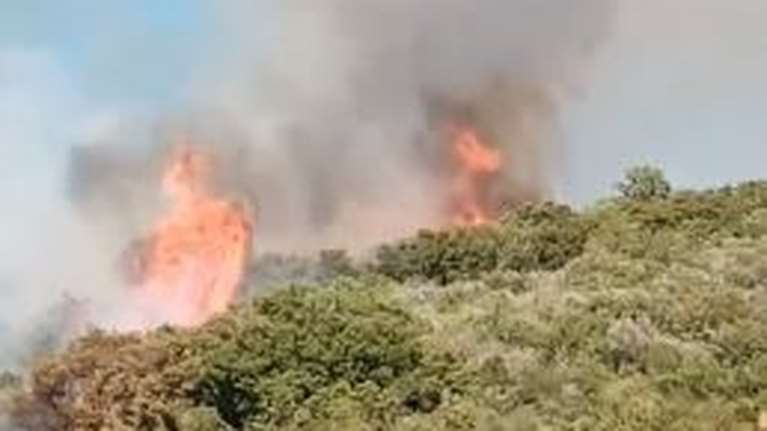 Νέος συναγερμός στην Ηλεία: Ξέσπασε φωτιά σε δασική έκταση στο Φανάρι Ανδρίτσαινας