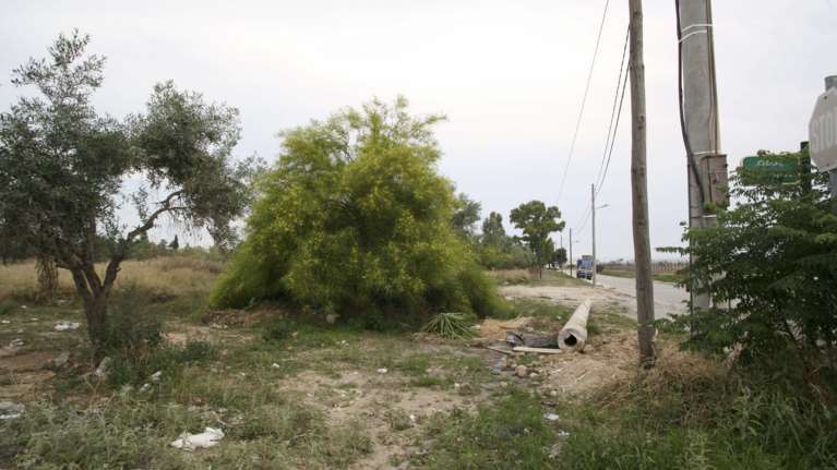 Τι αλλάζει στον καθαρισμό των οικοπέδων: Η παράταση ως 15 Ιουνίου και τα πρόστιμα - Το παράδειγμα της Διώνης στο Πικέρμι