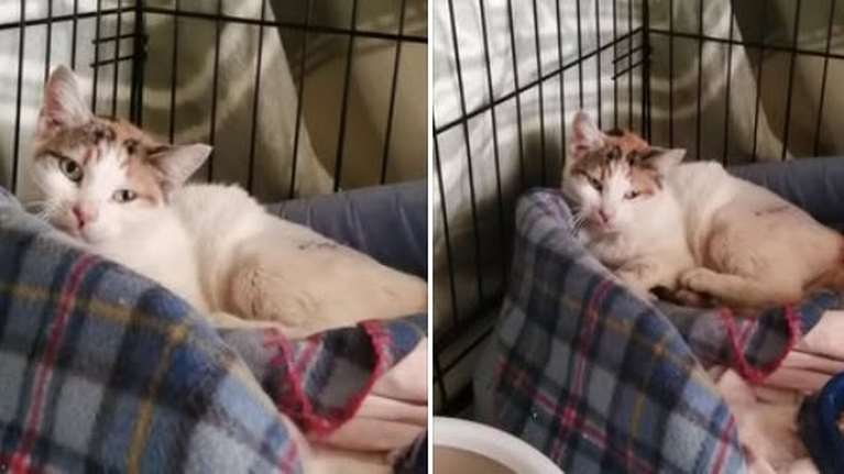 Ελενα Κόντε: &quot;Και ο αγώνας συνεχίζεται. Ναι, πρέπει να συνεχίζεται.  Για κάθε ελπίδα που τρεμοσβήνει, για κάθε ζωή&quot;