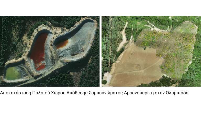 Ολυμπιάδα Χαλκιδικής: Άνθισε ξανά μεγάλη έκταση μετά από έργα αποκατάστασης της Ελληνικός Χρυσός
