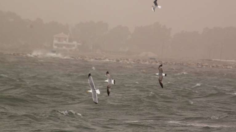 Καιρός: Σαββατοκύριακο με ισχυρές βροχές και καταιγίδες, ανέμους και πτώση της θερμοκρασίας - Και στην Αττική