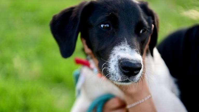 Πώς η ζωή έδωσε μια ευκαιρία στη Μπιζού και τα αδέρφια της στον Μαραθώνα