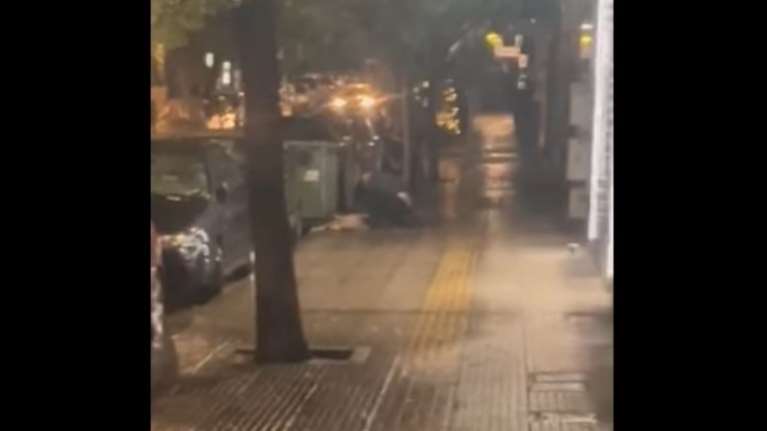 Στον εισαγγελέα τα ευρήματα για τη σκυλίτσα που μαχαίρωσε θανάσιμα 47χρονος στην Κυψέλη