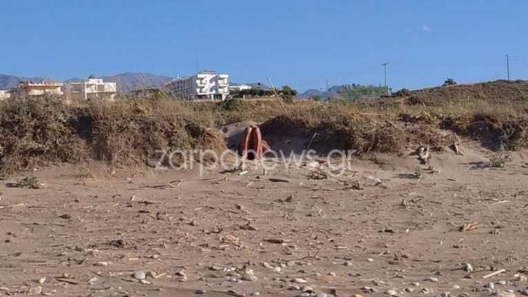 Πρωτοφανές περιστατικό παρενόχλησης σε παραλία των Χανίων