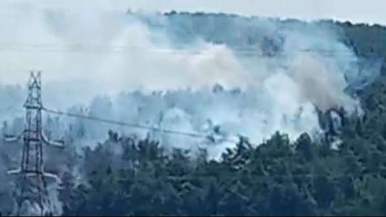 Υπό έλεγχο η πυρκαγιά στο Νυμφαίο Ροδόπης