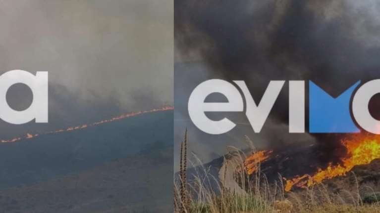 Ανεξέλεγκτη η φωτιά στην Κάρυστο: Εκκενώθηκαν Αμυγδαλιά και Πρινιάς - Οι φλόγες μπήκαν μέσα στις αυλές σπιτιών [Βίντεο]