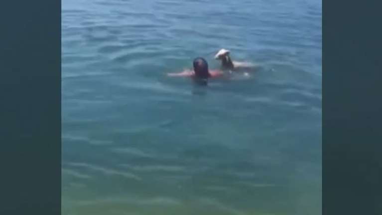 Η πιο γλυκιά εικόνα της ημέρας: Κατσικάκι ακολουθεί τον ιδιοκτήτη του και βουτά στη θάλασσα [Βίντεο]