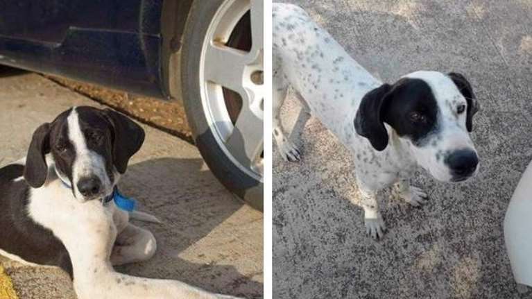 Ο Αρης και ο Φοίβος σε άσπρο - μαύρο: Ό,τι ζωή και να έχουν ζήσει μέχρι τώρα, δεν τους άφησε τη δυσπιστία στα μάτια