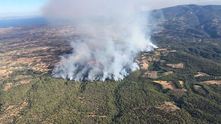 Εικόνα που κόβει την ανάσα: Το πύρινο μέτωπο στα Μέγαρα κατακαίει τα πάντα στο πέρασμά του