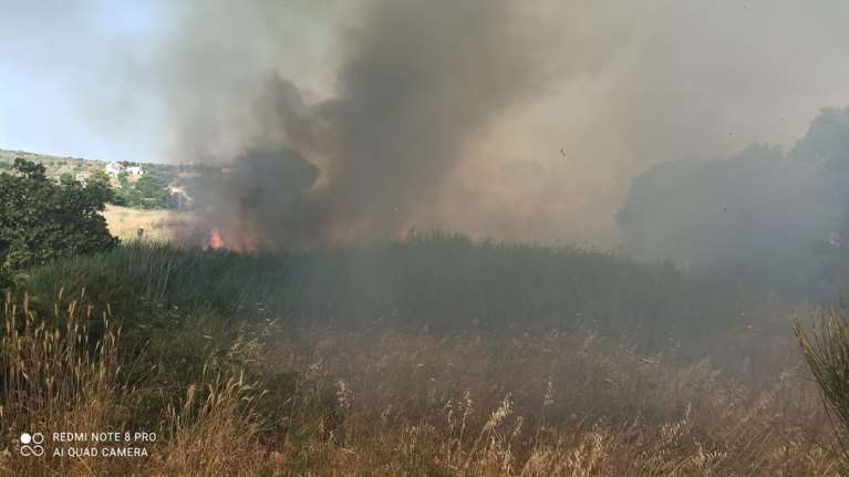 Συναγερμός στην Πυροσβεστική: Φωτιά ανάμεσα σε Παλλήνη και Ανθούσα