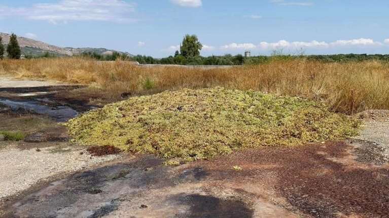 Κρήτη: Στη χωματερή πετάχτηκαν 100 τόνοι σταφύλια - Τι συνέβη [Εικόνες-Βίντεο]