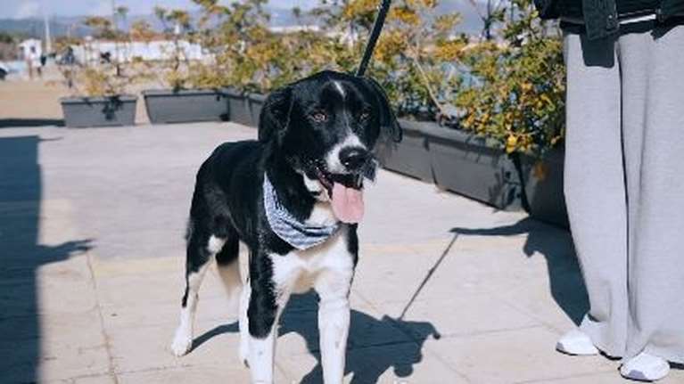 Ο λαμπερός Ιάσονας από τον Μαραθώνα θα κάνει σίγουρα τον κόσμο σας καλύτερο - Βίντεο