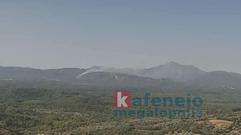 Συναγερμός για πυρκαγιά σε δασική έκταση στο Λεοντάρι Αρκαδίας – Επιχειρούν ισχυρές δυνάμεις