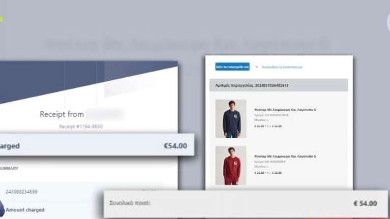 Μαρτυρία από θύμα απάτης των &quot;μαϊμού&quot; e-shops: &quot;Έστειλα mail και μου απάντησαν ότι χάθηκε το πακέτο&quot; [Βίντεο]