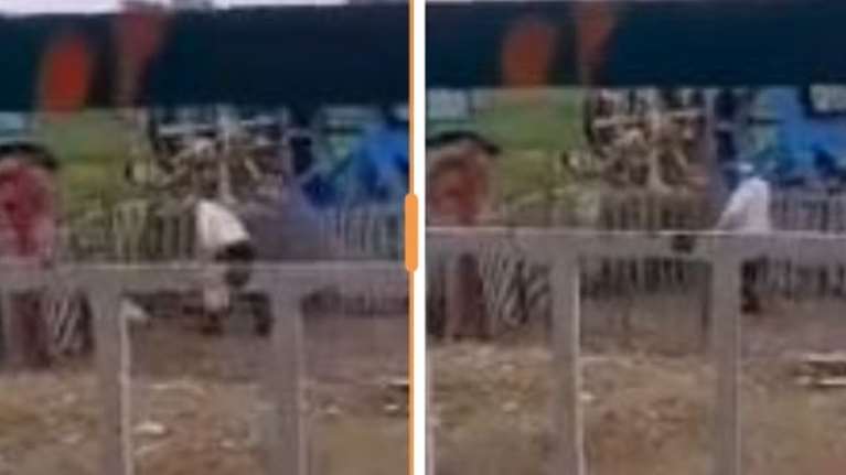 Φρίκη στη Θεσσαλονίκη: Μήνυση σε άνδρα που εμφανίζεται σε βίντεο να κακοποιεί σκύλο