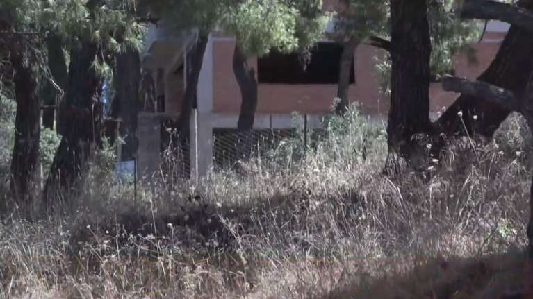 Αλαλούμ με τις δηλώσεις καθαρισμού των οικοπέδων: Βαριά τα πρόστιμα για τους ιδιοκτήτες [βίντεο]