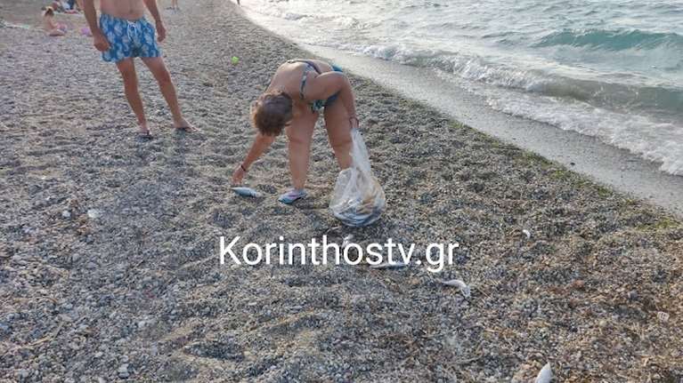 Άσσος Kορινθίας: Με νεκρά ψάρια γέμισε η παραλία [Βίντεο-Εικόνες]