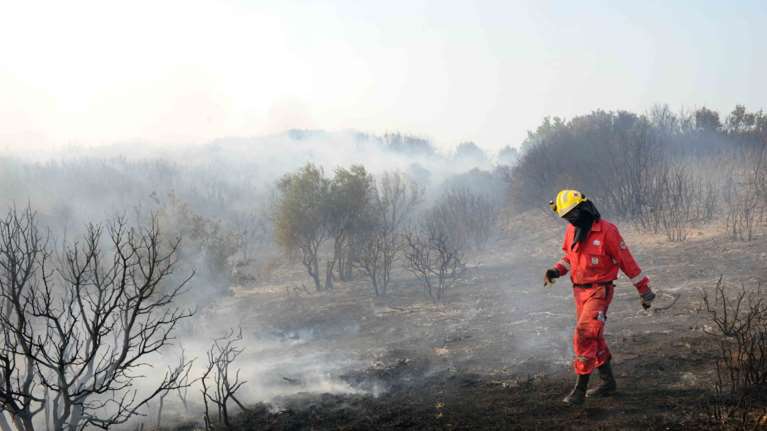 Χειροπέδες σε ηλικιωμένη στον Ωρωπό για πρόκληση πυρκαγιών από πρόθεση και κατ΄ εξακολούθηση