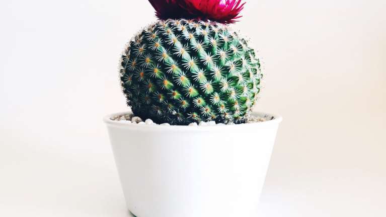 Αιμορροϊδοπάθεια: Νέα δεδομένα στη θεραπεία