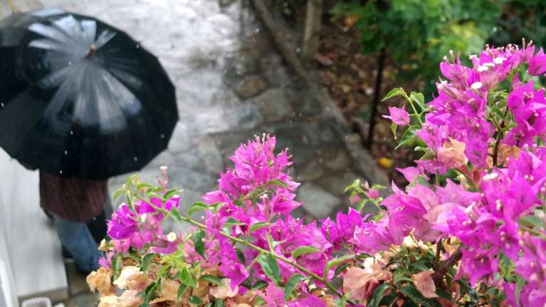 Αστατος ο καιρός με βροχές και καταιγίδες: Συνεχίζονται και την Τσικνοπέμπτη - Ποιες ώρες θα βρέξει στην Αττική