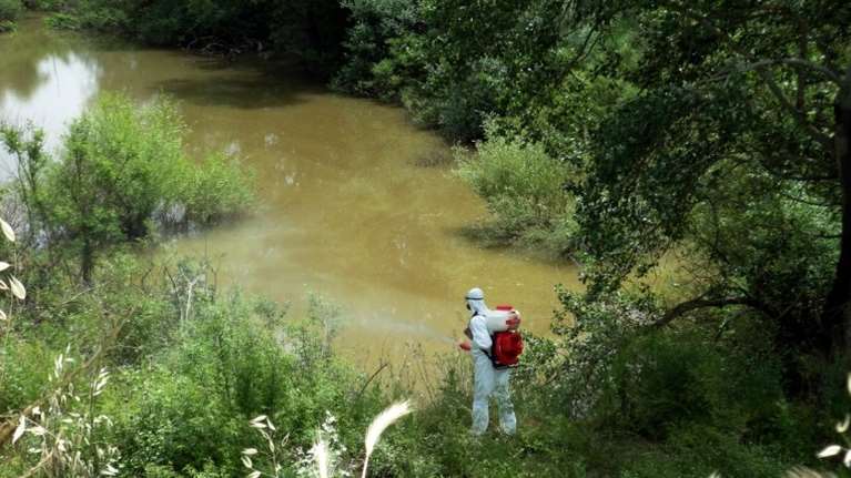 Ιός Δυτικού Νείλου: Άλλα 14 κρούσματα στην Ελλάδα την τελευταία εβδομάδα - 268 συνολικά
