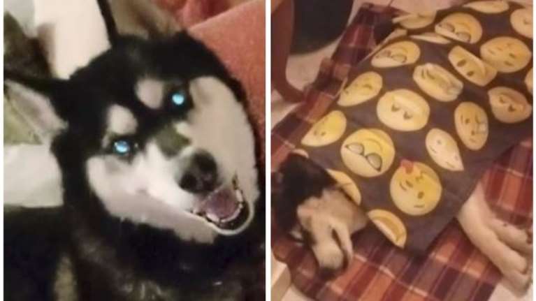 Ο Ολιβερ ένα χρόνο μετά περιμένει δικαίωση - Νατάσα Μπομπολάκη: Τα μάτια του δακρύζουν ακόμη