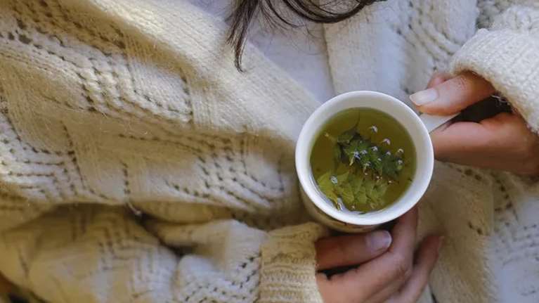 "Θηλυκά" βότανα: Η ευεργετική δύναμή τους στον κύκλο σου