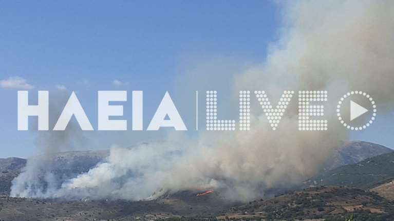 Συναγερμός στην Πυροσβεστική για φωτιά στην Αρχαία Ολυμπία