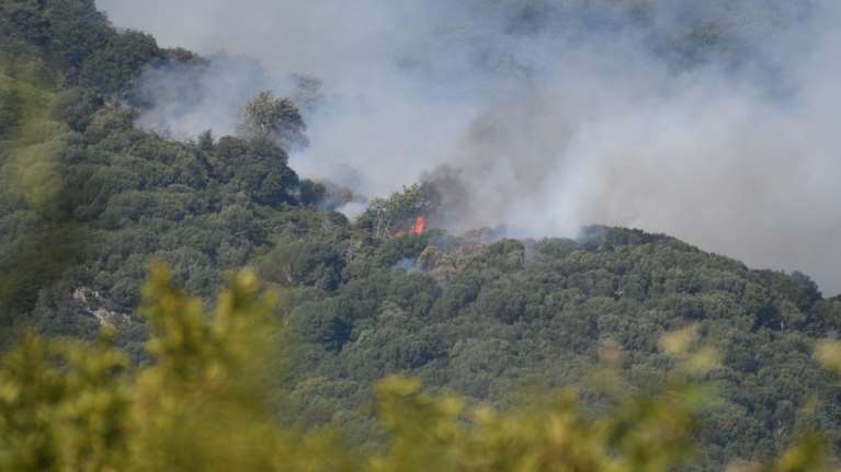 Συναγερμός στην Πυροσβεστική: Φωτιά στο Λαύριο