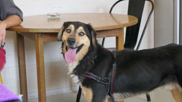 Μπάτον: Να γυρίζαμε τον χρόνο πίσω και να τα αλλάζαμε όλα για αυτό το φοβισμένο πλάσμα