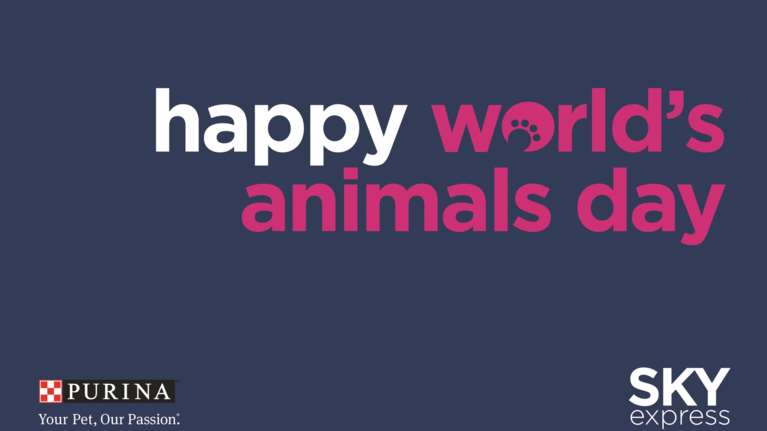 SKY express και PURINA κάνουν το ταξίδι ακόμα πιο ξεχωριστό για τους τετράποδους επιβάτες