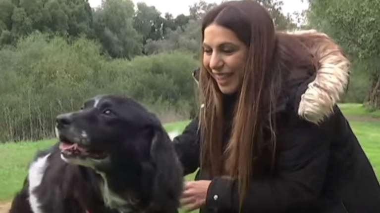 Η ιστορία της σκυλίτσας Γιόση: Πώς βοήθησε την κηδεμόνα της να ξεπεράσει την κατάθλιψη και της άλλαξε τη ζωή