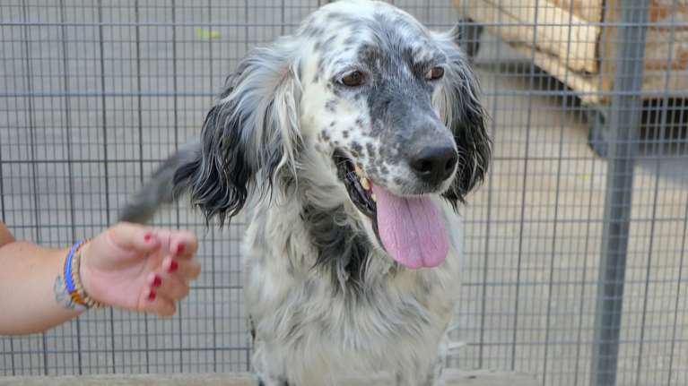 Η Λαρίσα που βρέθηκε στη Λάρισα είναι ένα από τα πιο όμορφα σετεράκια που έχουμε δει