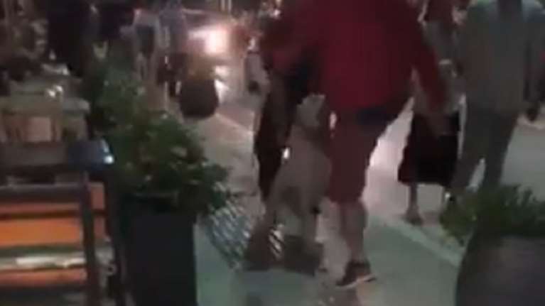 Νέο σοκαριστικό βίντεο κακοποίησης ζώου - Άνδρας κλωτσάει σκύλο στα Ιωάννινα