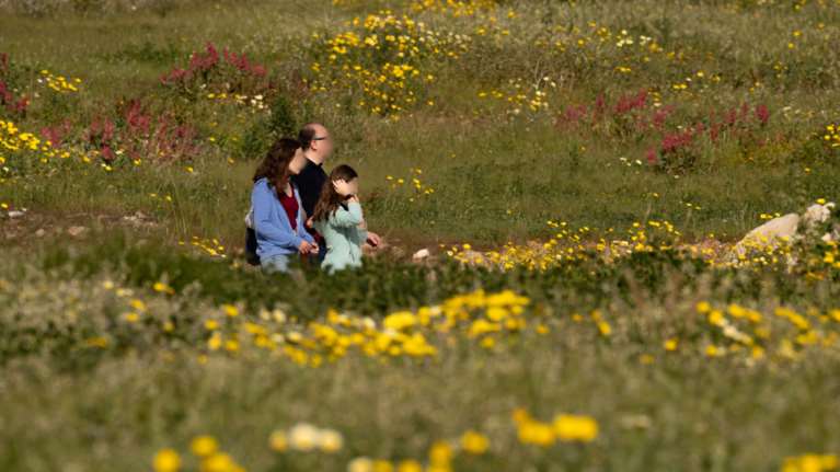 Αίθριος ο καιρός σήμερα με άνοδο της θερμοκρασίας - Ερχεται ανοιξιάτικο Σαββατοκύριακο