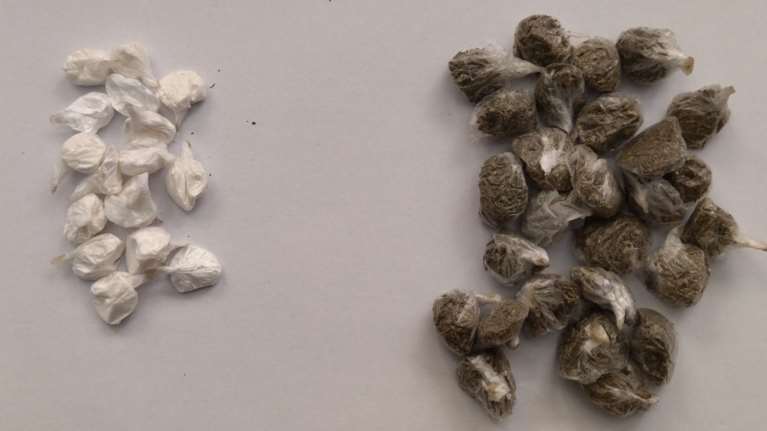 Εφοδος στις φυλακές Κορυδαλλού: Κοκαΐνη και ινδική κάνναβη βρήκαν οι σωφρονιστικοί υπάλληλοι [εικόνες]