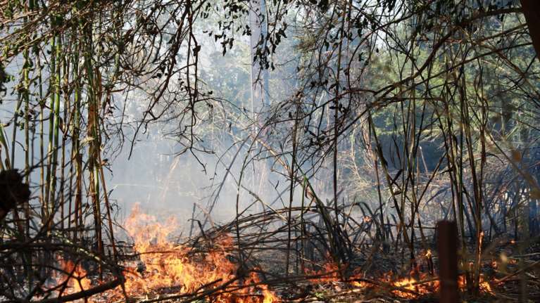 Πολύ υψηλός κίνδυνος πυρκαγιάς αύριο σε Δωδεκάνησα και ΠΕ Λασιθίου, Ηρακλείου, Σάμου και Ικαρίας