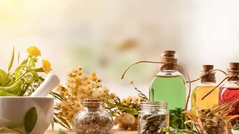 Τι είναι τα φυτικά φάρμακα; Η δράση και η ασφάλειά τους