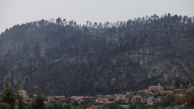 Φωτιά στην Εύβοια: Μάχη με τις αναζωπυρώσεις σε Γούβες, Γαλατσώνα και Γεράκι