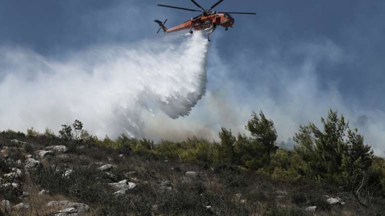 Συναγερμός στην Πυροσβεστική: Ξέσπασαν φωτιές σε Λευκάδα και Εύβοια - Ισχυρές δυνάμεις