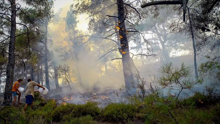 Λέκκας: Πρωτόγνωρες οι εικόνες στη Ρόδο - Καταστράφηκε το περιβάλλον, είναι μια ιδιαίτερη πυρκαγιά